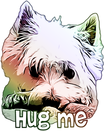 Nadruk Hug Me Przytul mnie Westie West Highland White Terrier - Przód