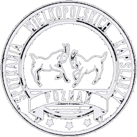 Nadruk Czarna  z logo SWK - Przód