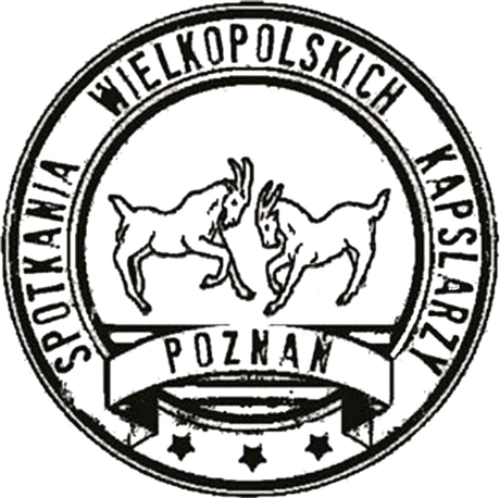 Nadruk Poduszka z logo SWK - Przód
